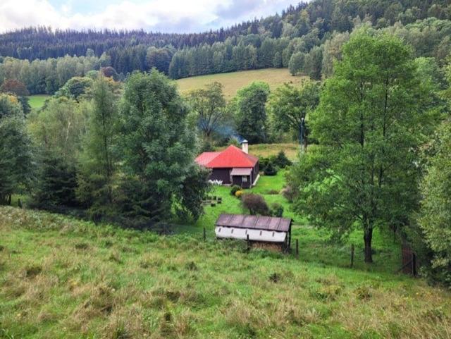 Stronie ŚląskiePatysiowka别墅 外观 照片
